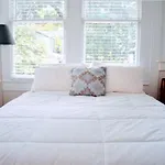 Cute And Cozy Apartments In Montrose, Near Parks, Eats And Shops
