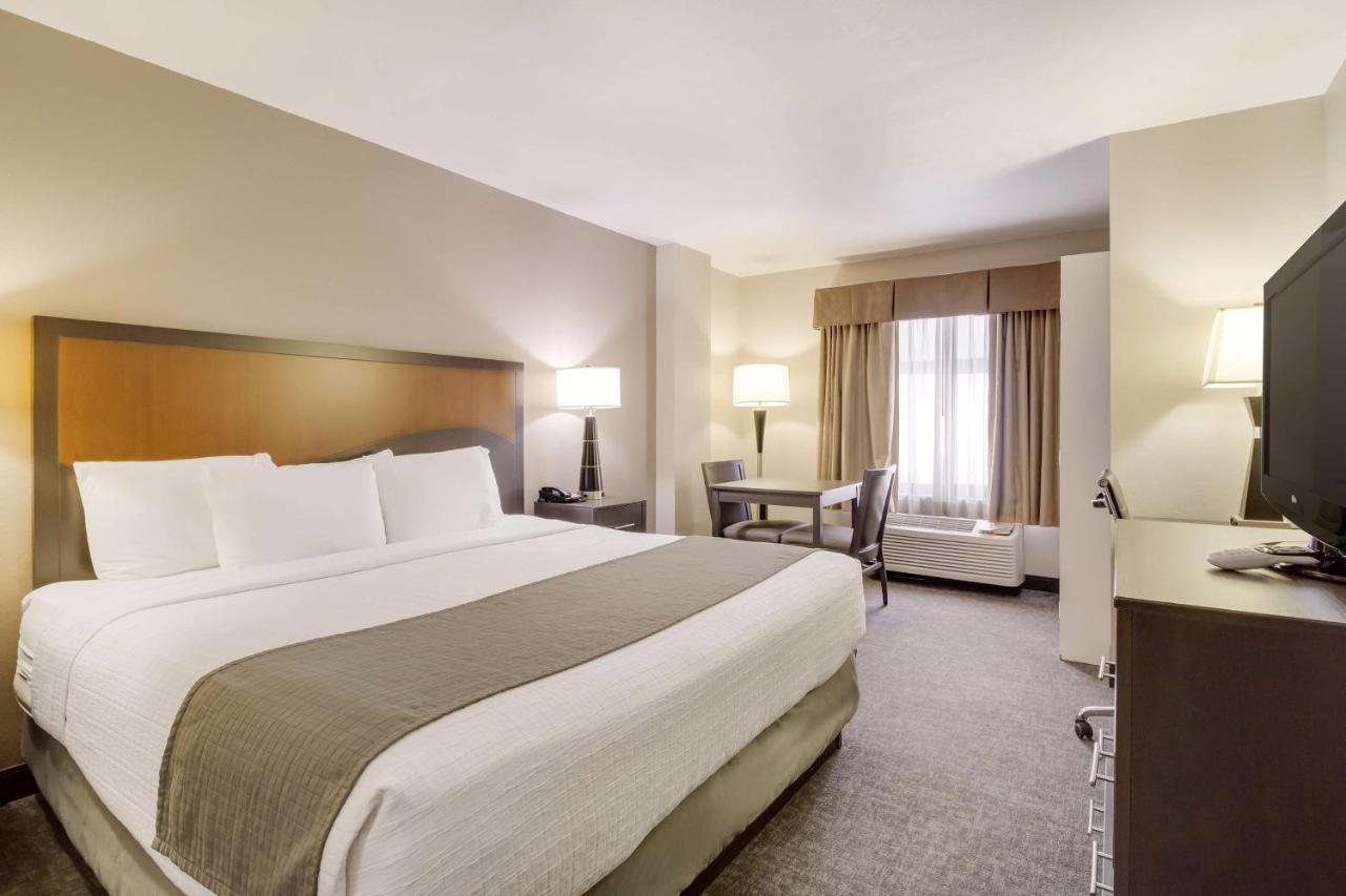 Hotel Surestay Plus By Best Western Medical Center