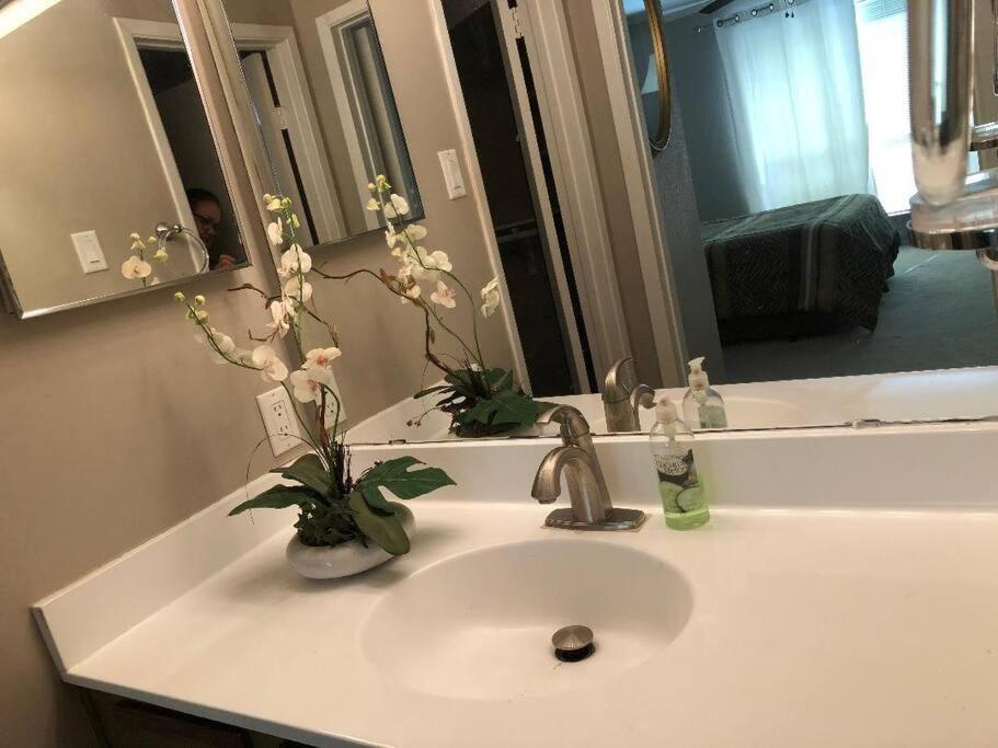 Apartment Nrg *