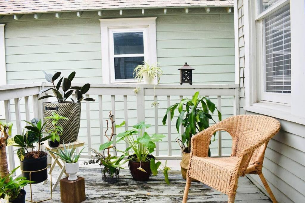 Cute And Cozy In Montrose, Near Parks, Eats And Shops Apartment *