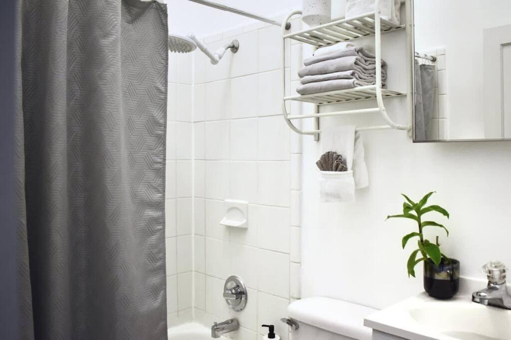 Cute And Cozy In Montrose, Near Parks, Eats And Shops Apartment
