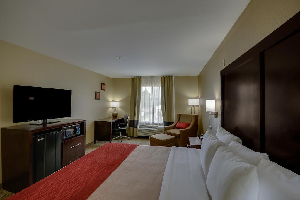 Hotel Comfort & Fm1960-champions 3*