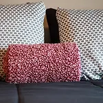 Cozy Studio In The Downtown/Montrose Area