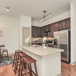 Fully Furnished Med Center Apt By Nrg Stadium