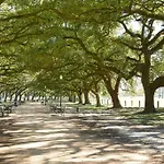 Charming Houston Apt Close To Med Ctr Nrg Downtown