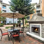 Home Felt Apartment- Med Center/Nrg