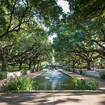Starrynight @ Museum Park