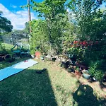 Holistic Gem W/1Gig Wi-Fi & Free Parking