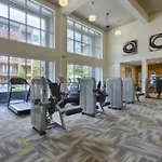 Luxury At Synergy Staduim