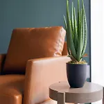 Tanglewood Apartments By Barsala