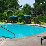 Cozy 1Br Apt - Galleria Area Free Parking