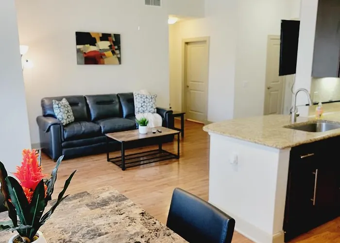 Spacious Pet Friendly 1Br Apt Near Reliant Nrg & Med Center