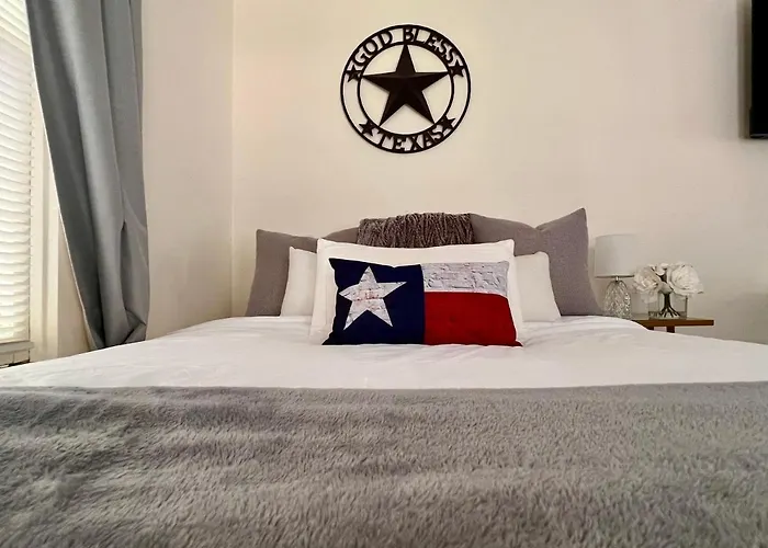 Charming Houston Apt Close To Med Ctr Nrg Downtown