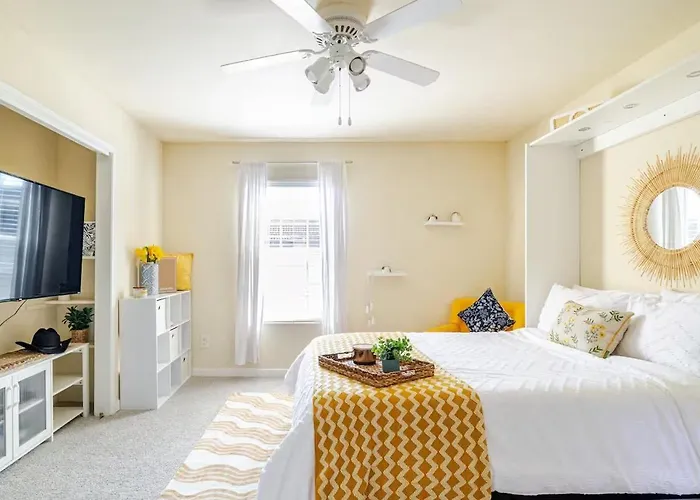 Cozy 1Br Apt - Galleria Area Free Parking