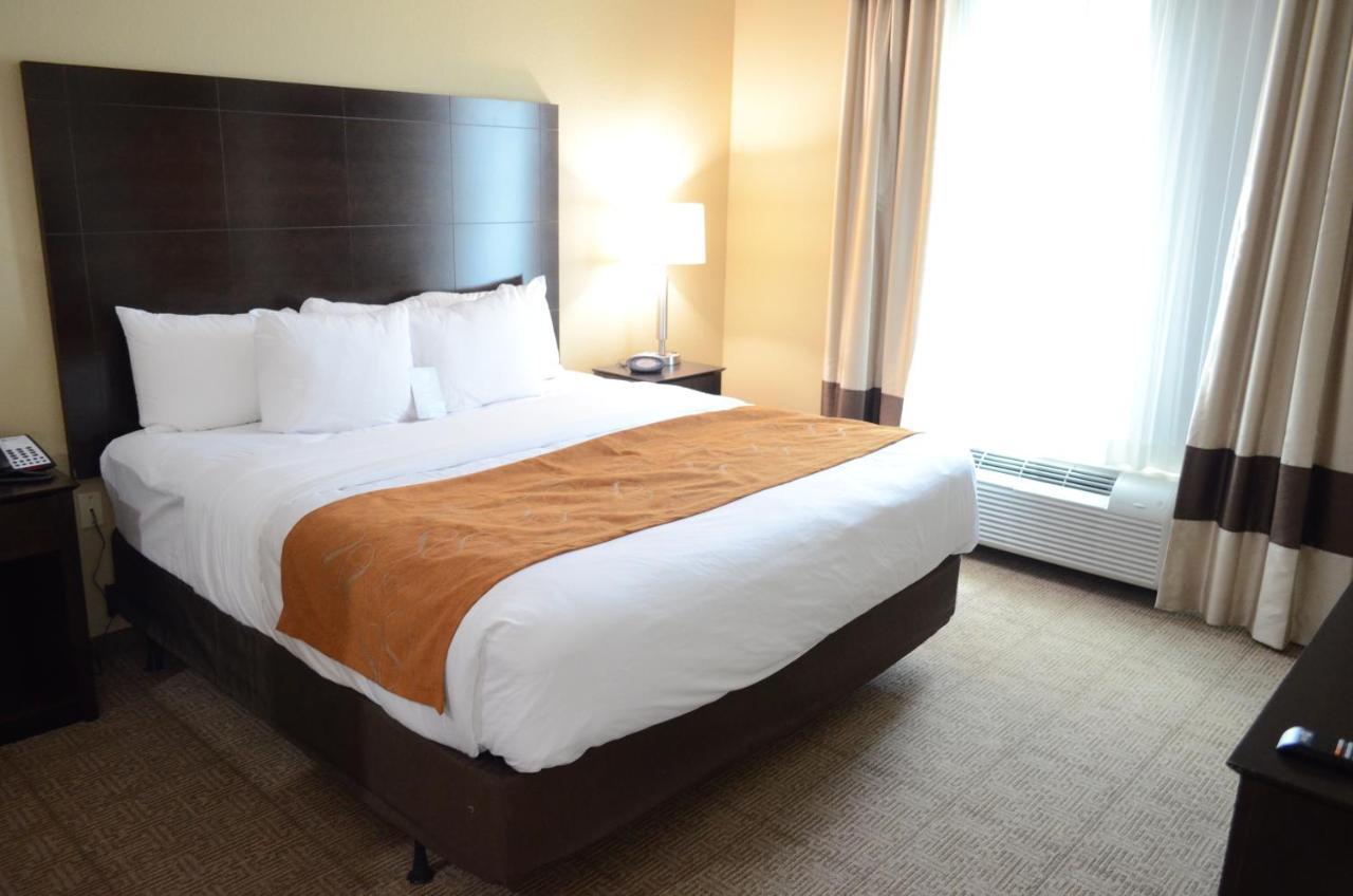Hotel Comfort Northwest - Cy - Fair