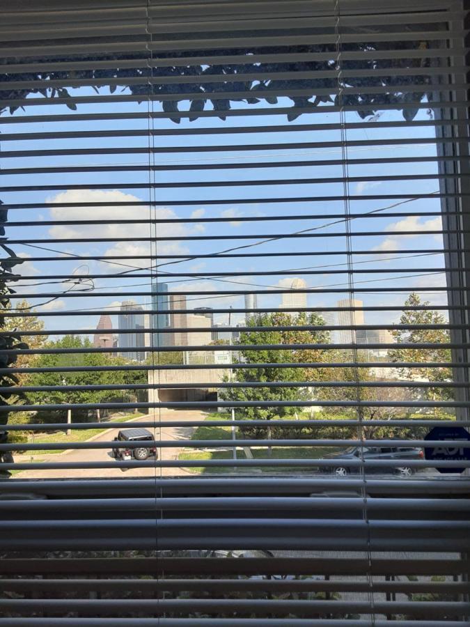 Cozy Studio In The Downtown/montrose Area