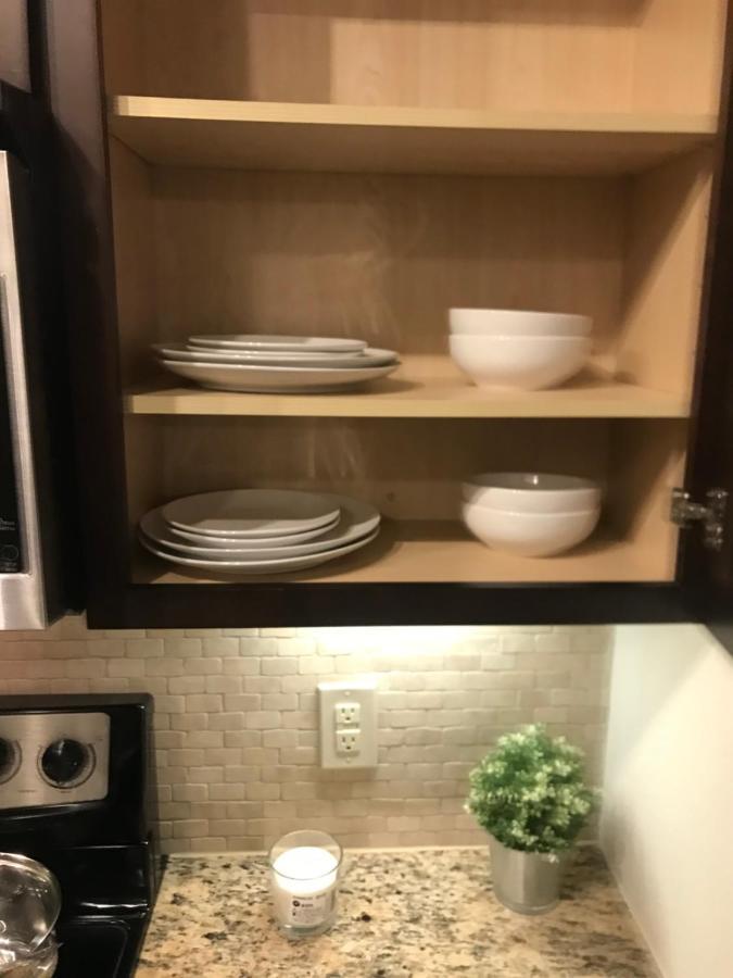 Apartment Rodeo Nrg Area One & Two Bedroom *