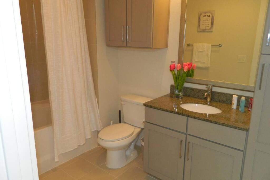 Entire Modern Downtown Ideal For Long-term Stays Apartment Houston