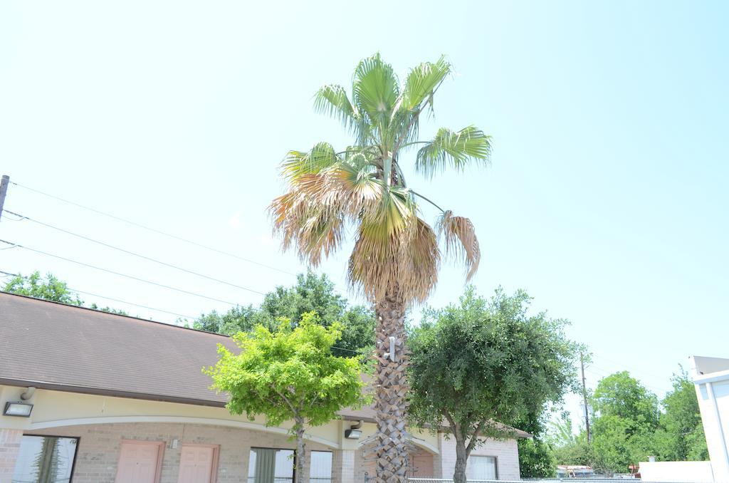 Motel Texan & 2*