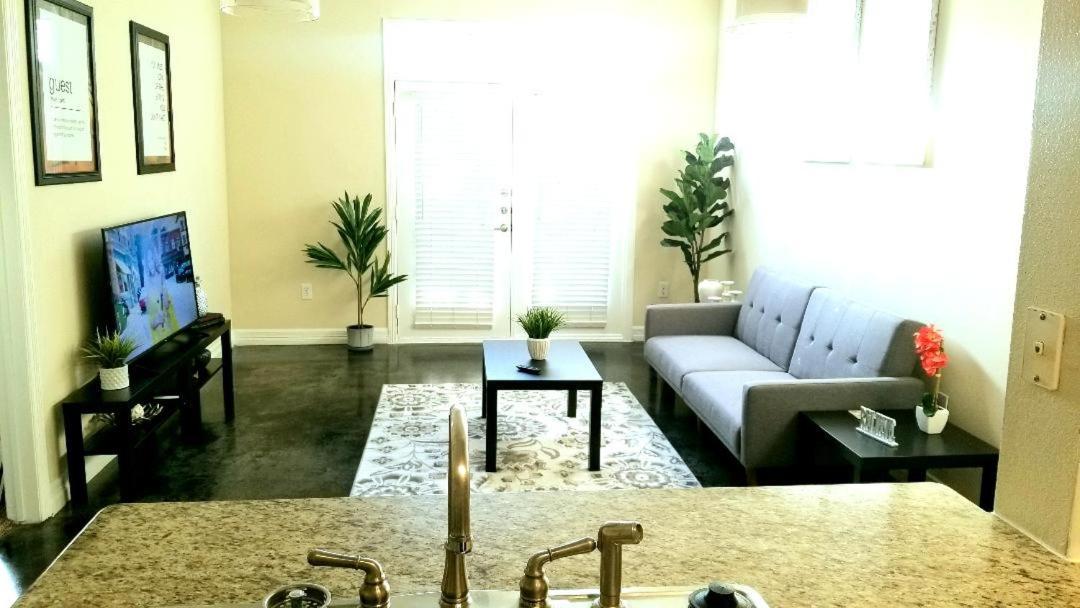 Roomy Downtown Abode Apartment *