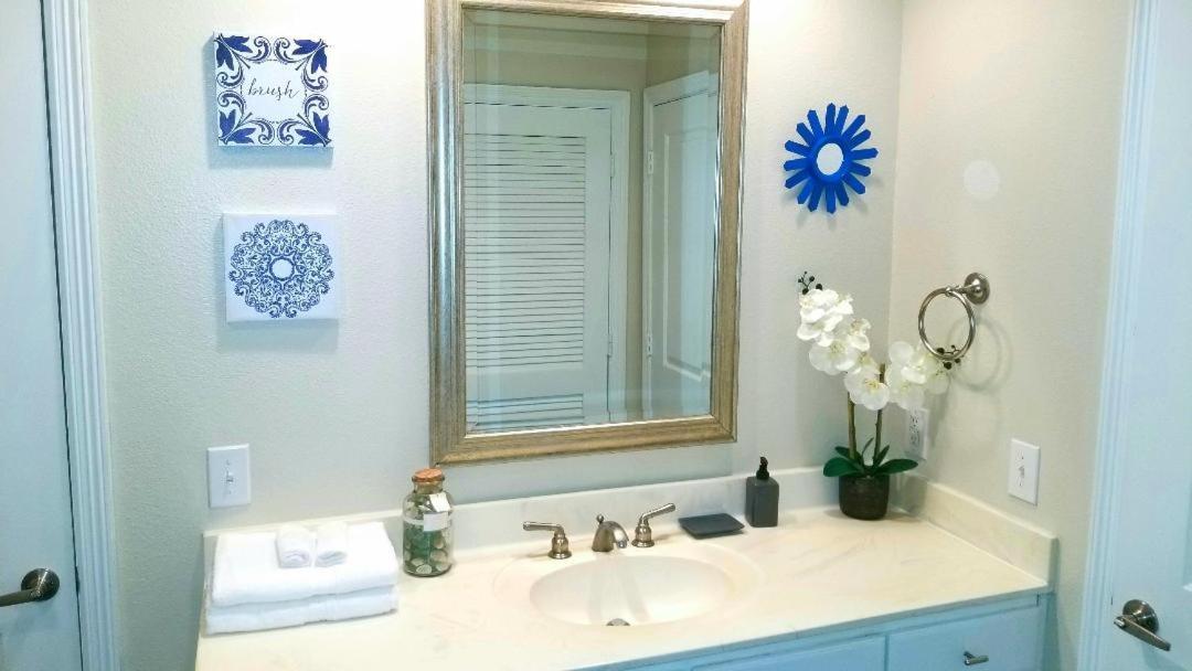 Roomy Downtown Abode Apartment Houston