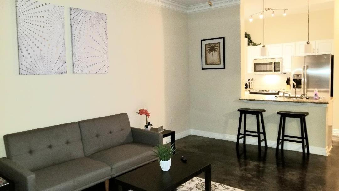 Apartment Roomy Downtown Abode Houston