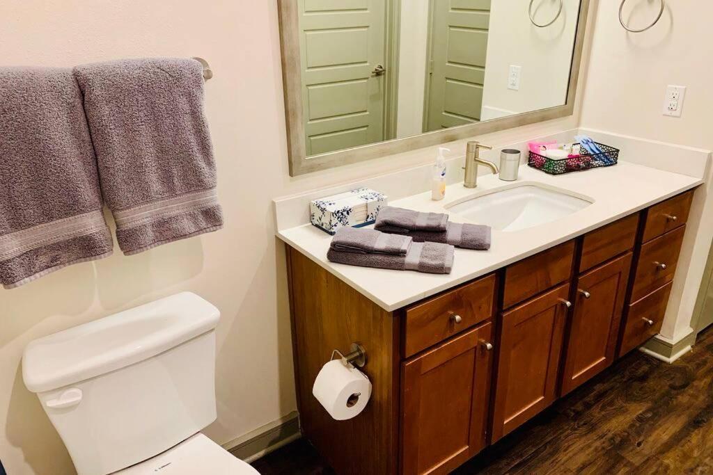 Apartment New Apart Downtown - 5min Stadium/parks/museum Houston