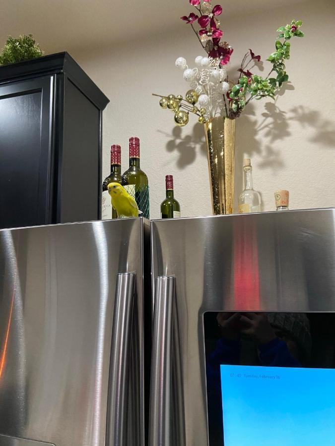 Villa Vista Villa Houston
