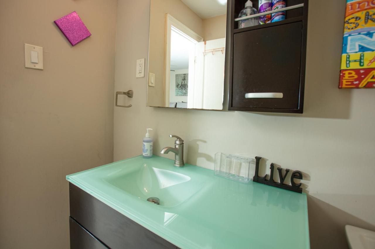 Cozy Studio In The Downtown/montrose Area