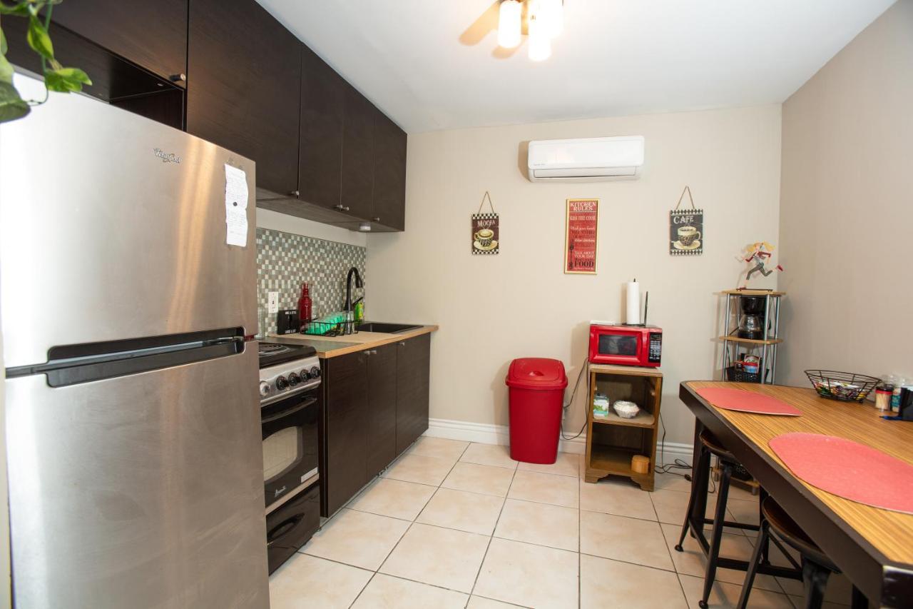 Cozy Studio In The Downtown/montrose Area