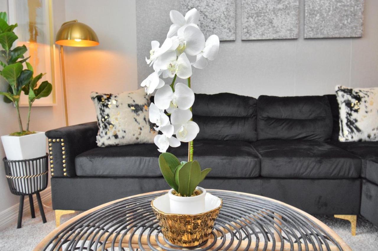 Apartment Noir Oasis 5 Mins Away From Texas Medical Center Houston