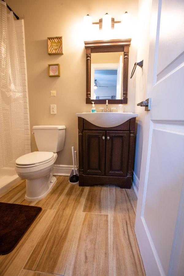 Cozy Studio In The Downtown/montrose Area *