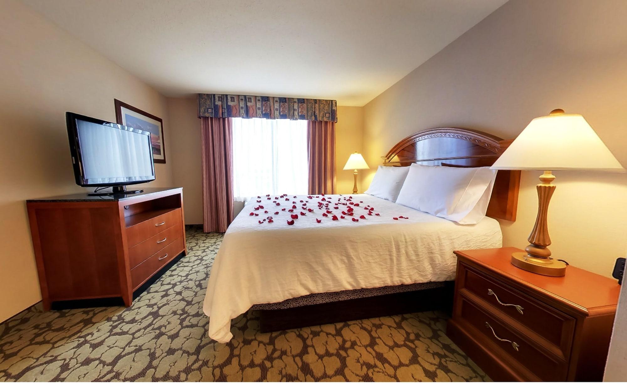 Hotel Acp Westchase, Mod Collection By Sonesta 3*
