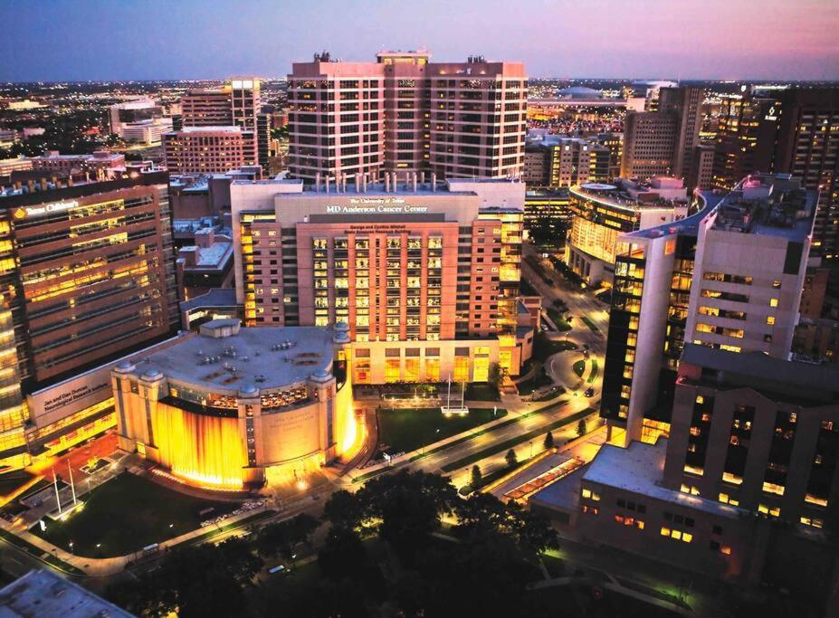 Luxury One Bedroom Located By Med Center/nrg