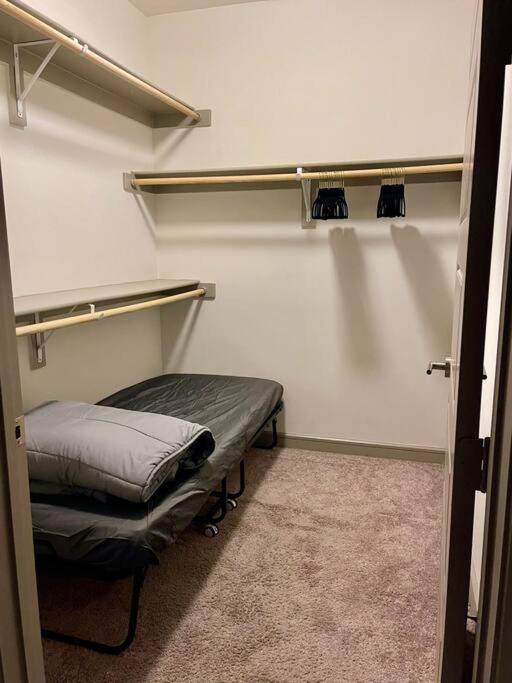 Luxury Close To Everything W Free Parking 5 Apartment *