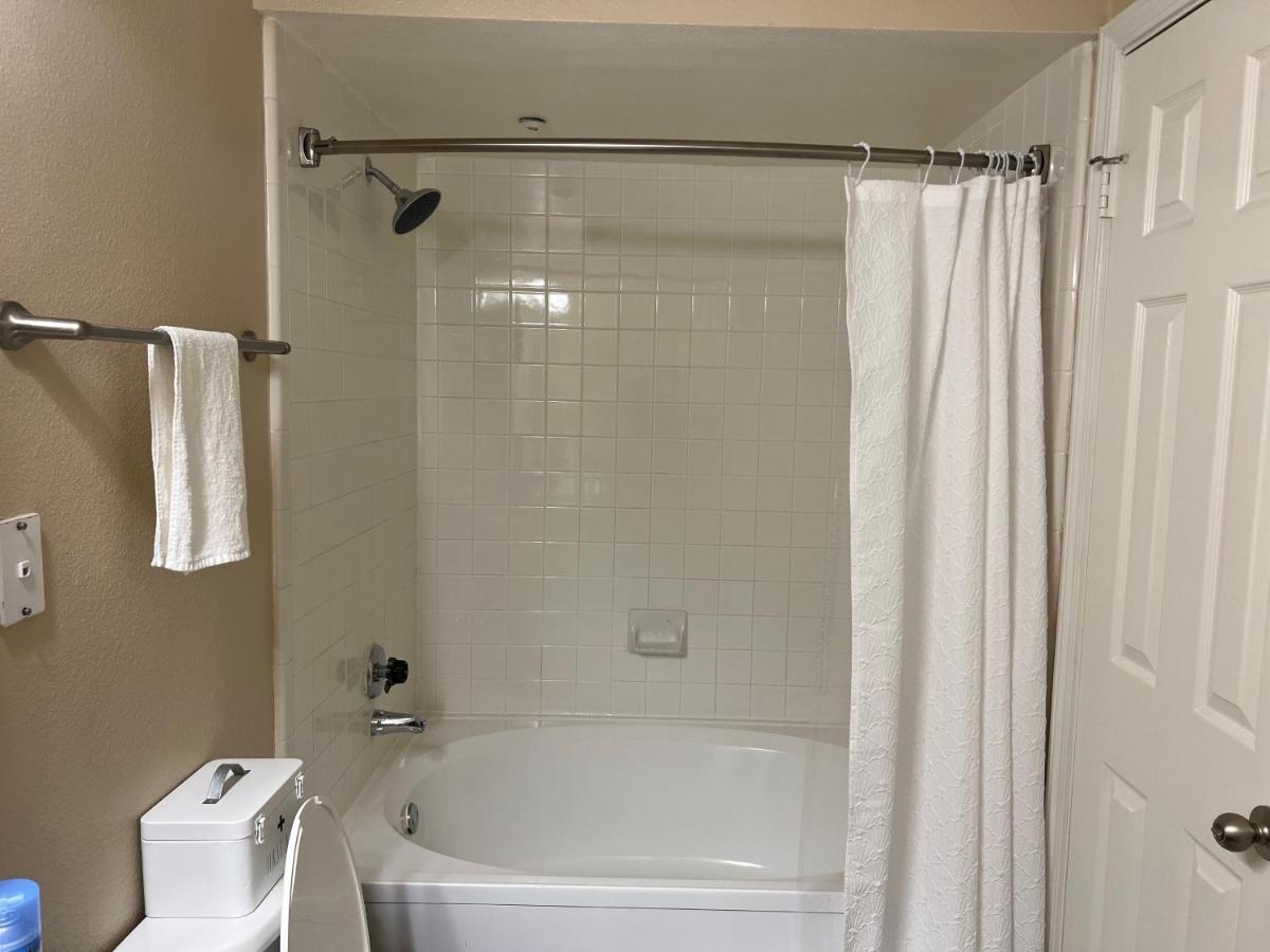 Smoke Free Amazing Spacious 2 Beds 2 Baths Modern Living Apartment Houston