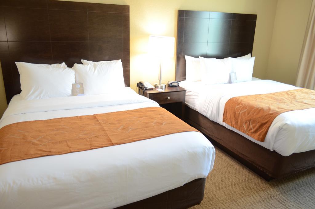 Hotel Comfort Northwest - Cy - Fair