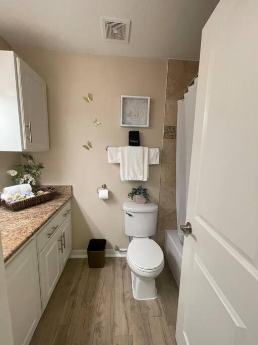 Beautiful/spacious 2 Bedroom Near Galleria * Houston