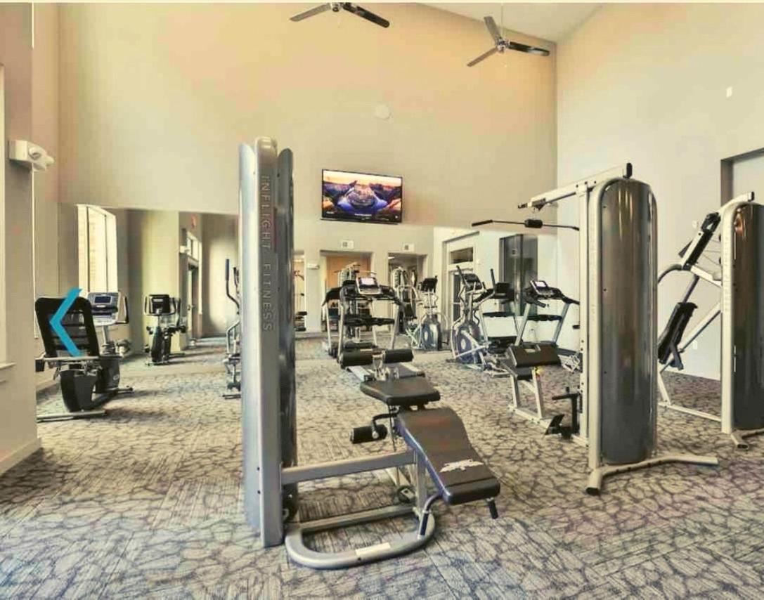 The Relaxation At Luxury Palace Houston