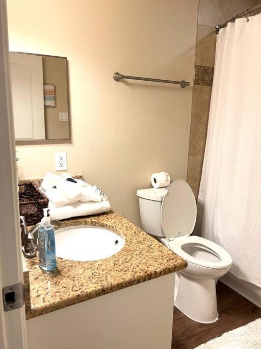 Lovely 2 Bedroom/2 Bath Houston, Heights/galleria Apartment Houston