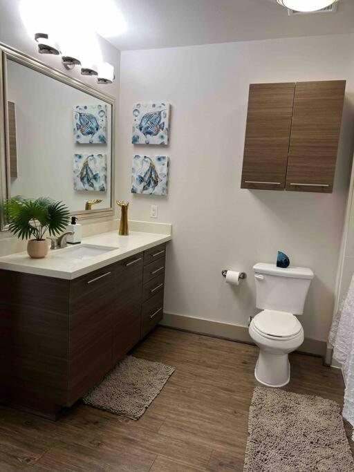 Lovely 1 Bedroom Apt Midtown Htx * Houston