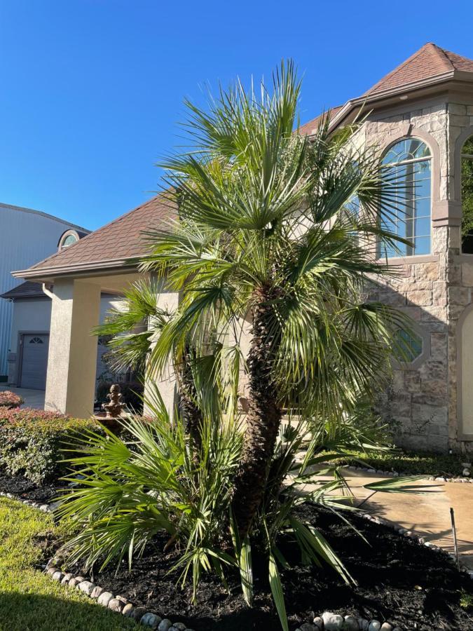 Luxuria Mini-mansion Near Downtown Holiday home *