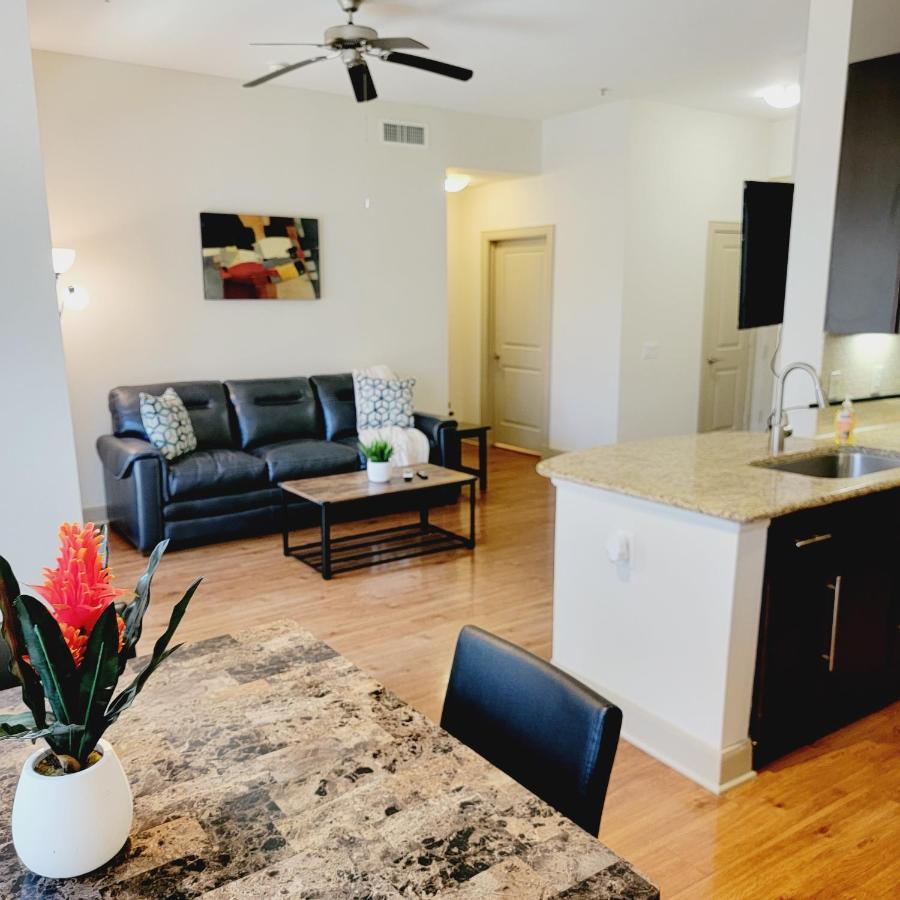 Spacious Pet Friendly 1br Apt Near Reliant Nrg & Med Center Apartment *