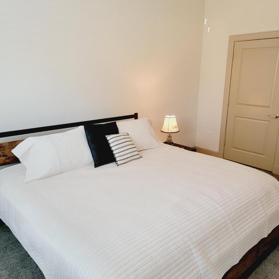 Spacious Pet Friendly 1br Apt Near Reliant Nrg & Med Center * Houston