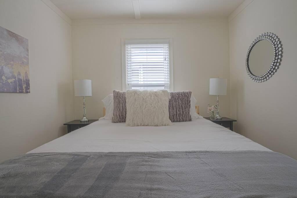 Stylish W Texas Flair Apt Close To Med Ctr Nrg Downtown