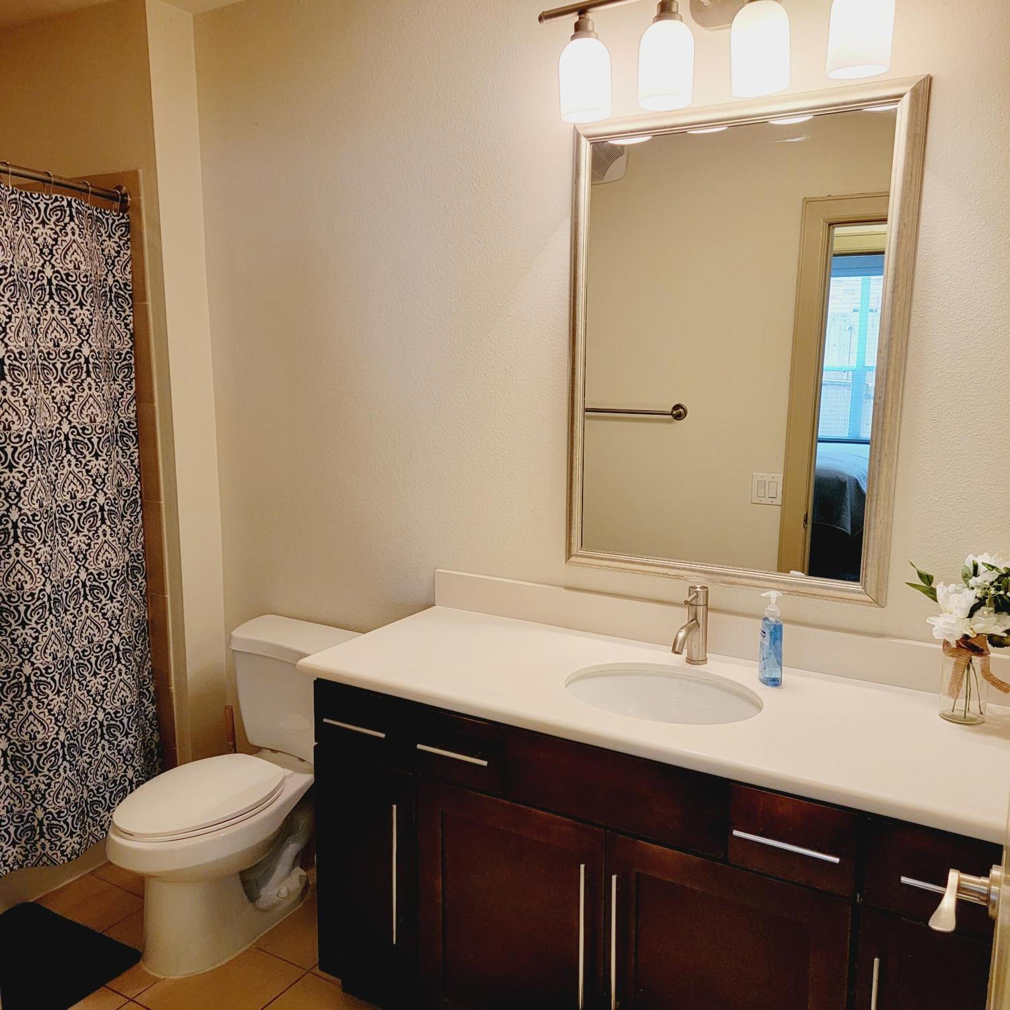 Spacious Pet Friendly 1br Apt Near Reliant Nrg & Med Center Houston