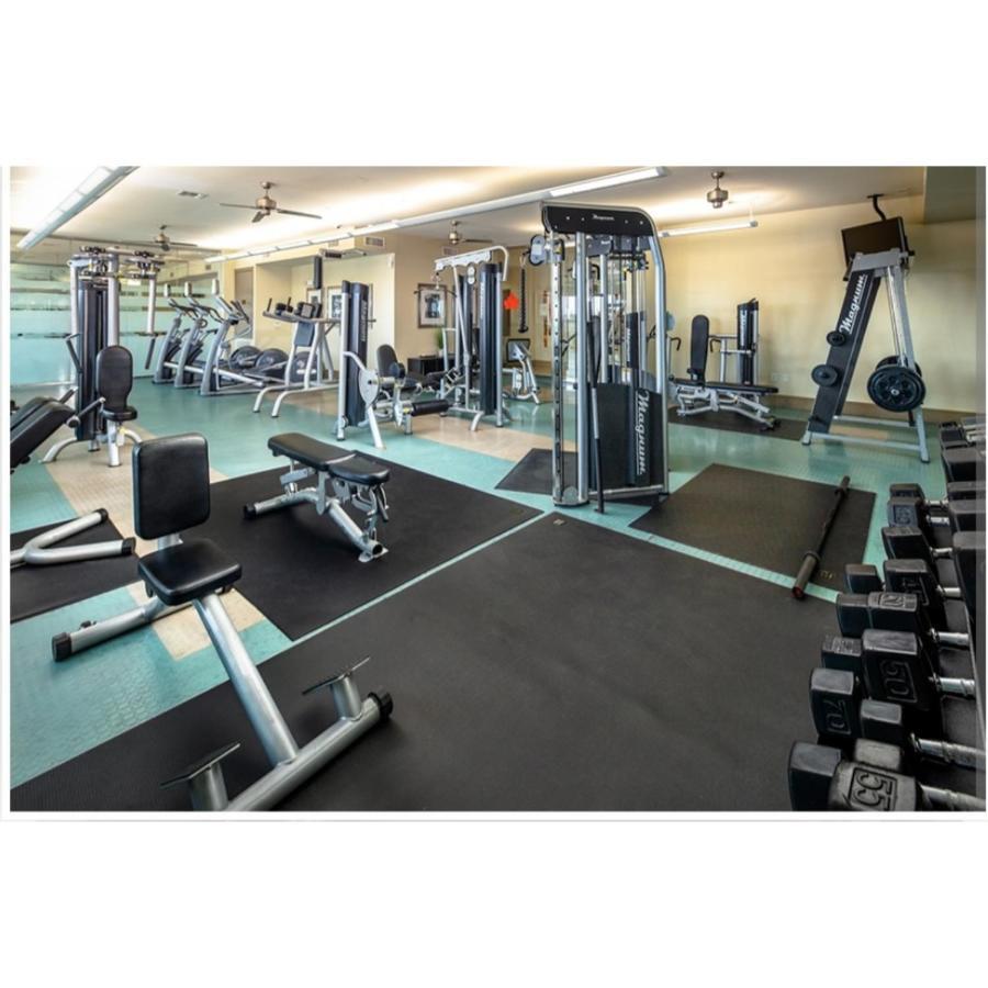 Apartment Spacious Pet Friendly 1br Apt Near Reliant Nrg & Med Center *