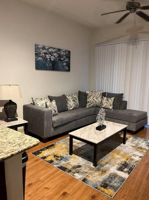 Apartment Felt Apartment- Med Center/nrg Houston