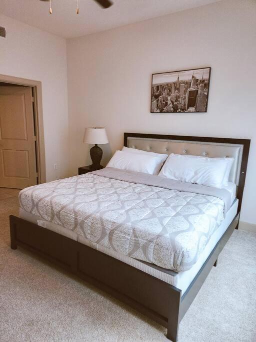Felt Apartment- Med Center/nrg * Houston