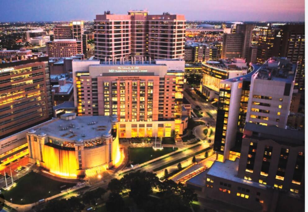Felt Apartment- Med Center/nrg Apartment Houston